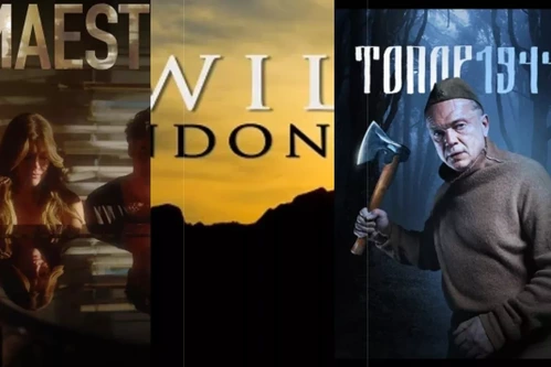 Постер: Сериалы про выживание