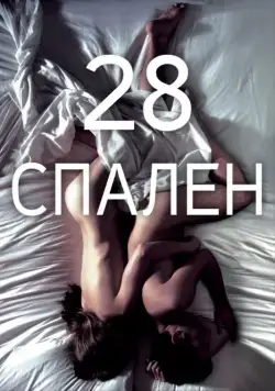 Постер: 28 спален (2012)