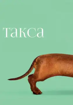 Постер: Такса / Wiener-Dog (2015)