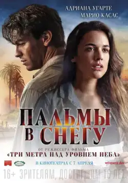 Постер: Пальмы в снегу (2015)