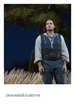 Постер: Любовный напиток (2018)