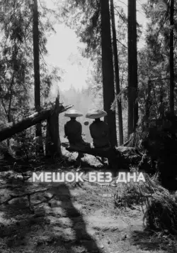 Постер: Мешок без дна / Meshok bez dna (2017)