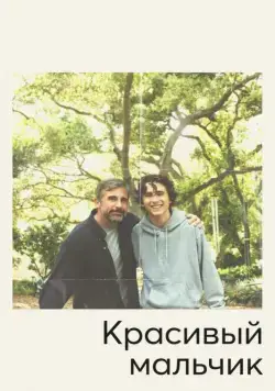Постер: Красивый мальчик / Beautiful Boy (2018)