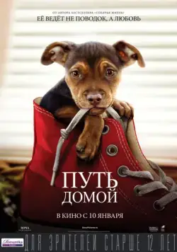 Постер: Путь домой / A Dog's Way Home (2019)