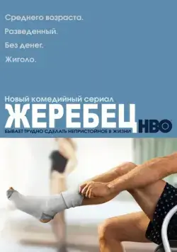 Постер: Жеребец / Hung (2009)