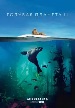 Постер: Голубая планета 2 (2017)