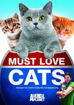 Постер: Кошек не любить нельзя / Must Love Cats (2011)