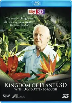 Постер: В королевстве растений / Kingdom of Plants 3D (2012)