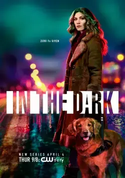 Постер: Во тьме / In the Dark (2019)