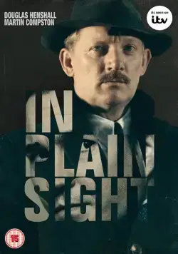 Постер: На виду / In Plain Sight (2016)