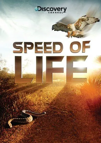 Постер: Discovery: Скорость жизни / Speed of Life (2010)