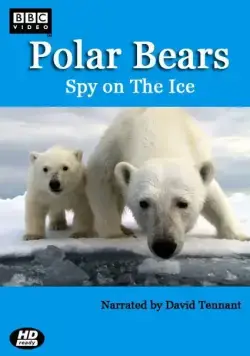 Постер: Белый медведь: Шпион во льдах / Polar Bears: Spy on the Ice (2011)