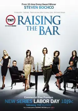 Постер: Адвокатская практика / Raising the Bar (2008)