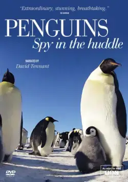 Постер: Пингвины: Шпион в толпе / Penguins: Spy in the Huddle (2013)