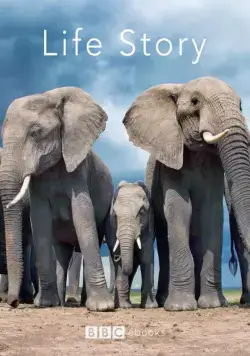 Постер: История жизни / Life Story (2014)