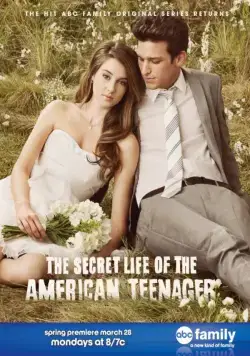 Постер: Втайне от родителей / The Secret Life of the American Teenager (2008)