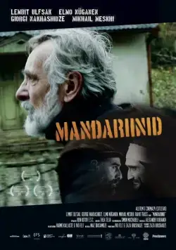 Постер: Мандарины / Mandariinid (2013)