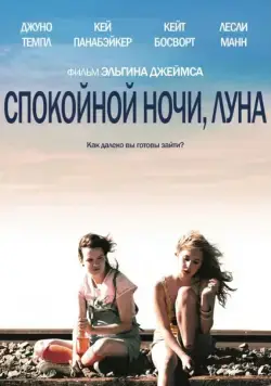 Постер: Спокойной ночи, Луна / Little Birds (2011)