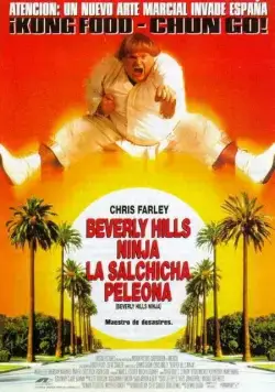 Постер: Ниндзя из Беверли Хиллз / Beverly Hills Ninja (1997)