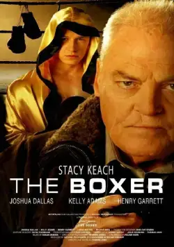 Постер: Боксер / The Boxer (2009)