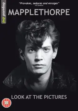Постер: Мэпплторп: только полюбуйтесь / Mapplethorpe: Look at the Pictures (2016)