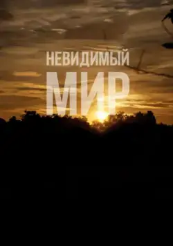 Постер: Невидимый мир / Mundo Invisível (2012)