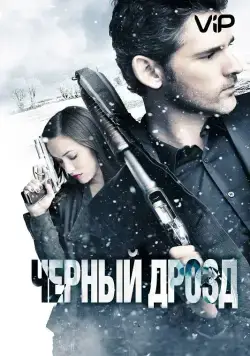 Постер: Черный дрозд / Deadfall (2012)