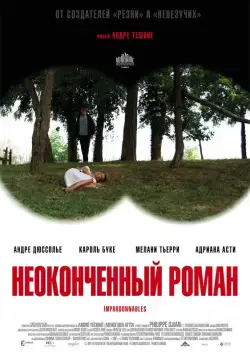 Постер: Неоконченный роман / Impardonnables (2011)