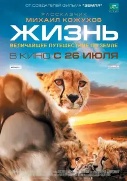 Постер: Жизнь (2011)