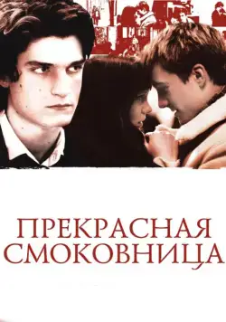 Постер: Прекрасная смоковница / La belle personne (2008)