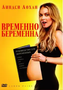 Постер: Временно беременна (2009)