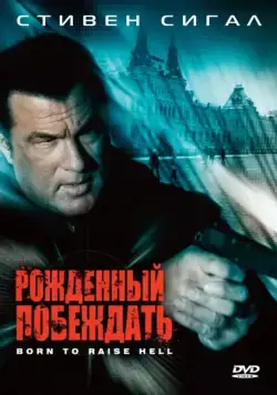 Постер: Рожденный побеждать (2010)