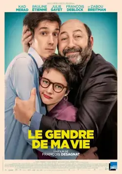 Постер: SuperЗять / Le gendre de ma vie (2018)