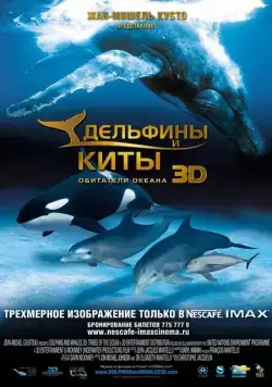 Постер: Дельфины и киты 3D / Dolphins and Whales 3D: Tribes of the Ocean (2008)