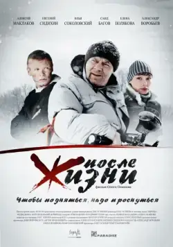 Постер: После жизни (2008)