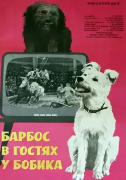 Постер: Барбос в гостях у Бобика (1964)