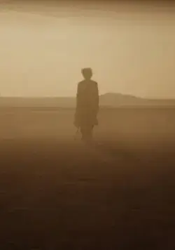 Постер: Отголоски / Echoes (2014)