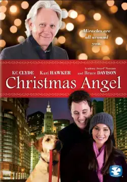 Постер: Ангел Рождества / Christmas Angel (2009)