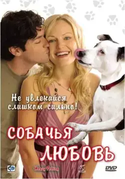 Постер: Собачья любовь / Heavy Petting (2007)