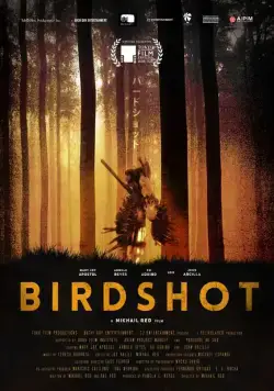 Постер: Дробь / Birdshot (2016)