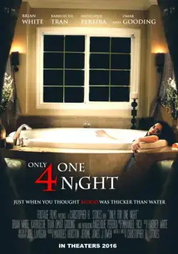 Постер: Только на одну ночь / Only for One Night (2016)