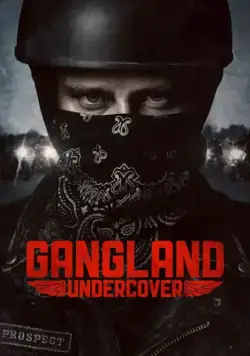 Постер: Под прикрытием / Gangland Undercover (2015)