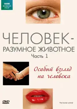 Постер: BBC: Человек – разумное животное / The Human Animal (1994)