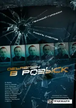 Постер: Объявлен в розыск (2010)