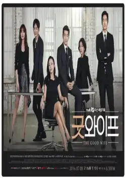 Постер: Хорошая жена / Gut waipeu (2016)