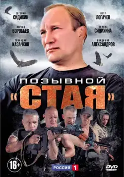 Постер: Позывной «Стая» (2013)