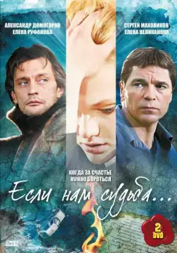 Постер: Если нам судьба (2009)