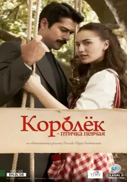 Постер: Королёк – птичка певчая / Çalikusu (2013)