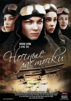 Постер: Ночные ласточки (2012)