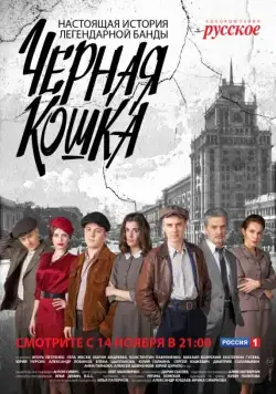 Постер: Чёрная кошка (2016)
